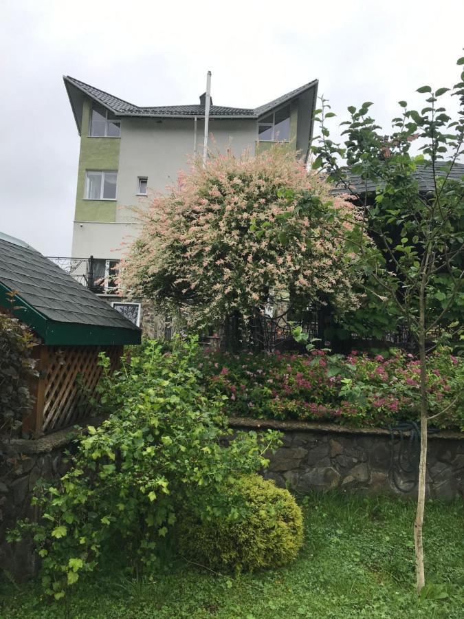 Ярдана Apartment Skhidnytsia Ngoại thất bức ảnh