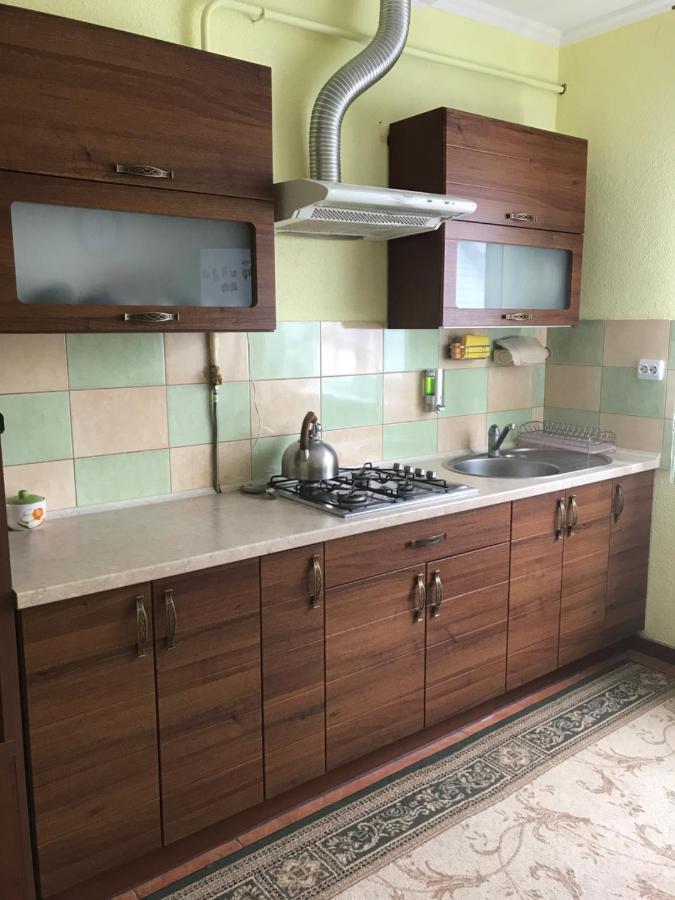 Ярдана Apartment Skhidnytsia Ngoại thất bức ảnh